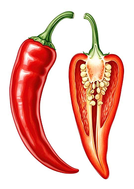 Red Chili Pepper, Whole and Halved