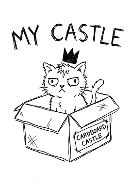 Cat in a Cardboard Castle