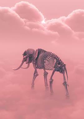 Elephant Skeleton in Pink Clouds