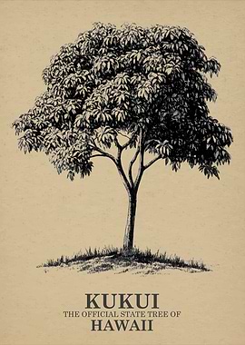 Kukui Tree Illustration