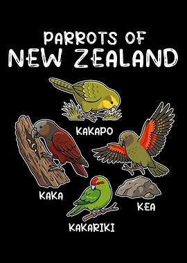 Parrots of New Zealand