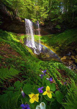 Waterfall with Rainbow and Wildflowers