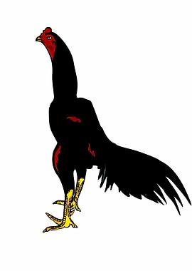 Black Rooster with Red and Yellow Accents