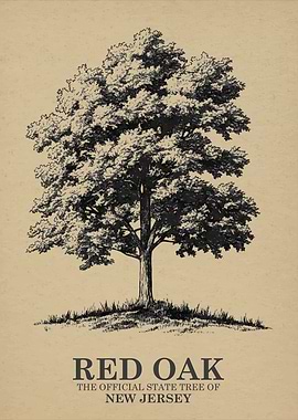 Red Oak State Tree of New Jersey