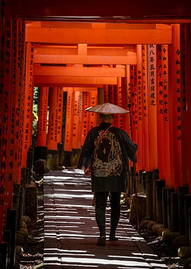 Person walking through Torii gates