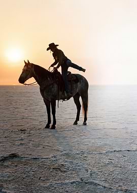 Cowgirl on Horse at Sunset