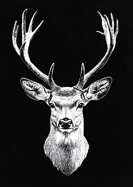 Detailed Stag Portrait