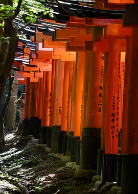 Path of Torii Gates