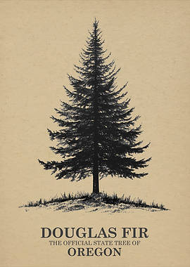 Douglas Fir Oregon State Tree