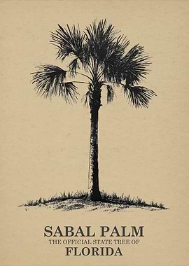 Sabal Palm State Tree of Florida