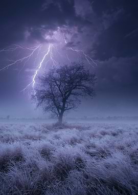 Lightning Strikes a Lone Tree in a Field