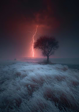 Lightning Strikes a Lone Tree in a Frosty Field