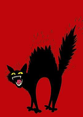 Scared Black Cat Hissing