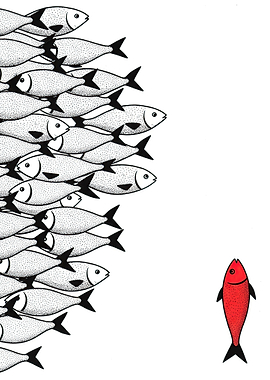 Red fish swims against the current