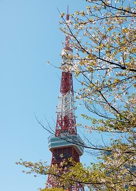 Tokyo Tower with Cherry Blossoms