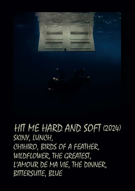 Hit Me Hard and Soft