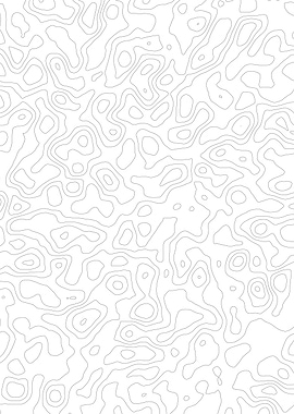 Abstract Topographic Contour Lines