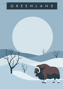 The Majestic Muskox of Greenland