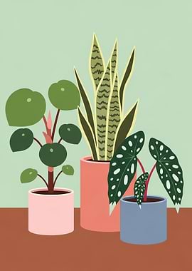 Potted Houseplants on a Table