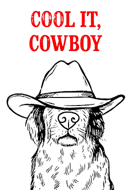 Cool It Cowboy Dog