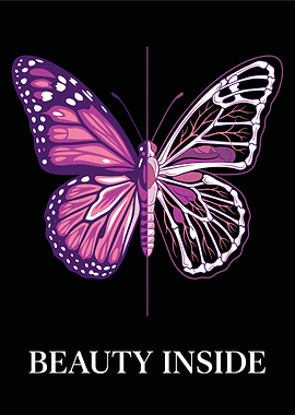 Butterfly Anatomy and Beauty