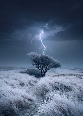 Lightning Strikes a Frosted Tree