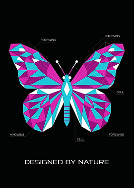 Geometric Butterfly Illustration