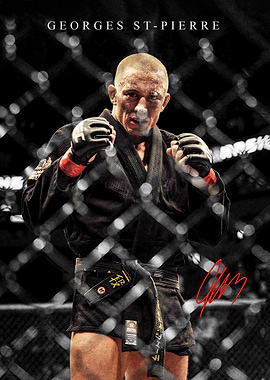 Georges St-Pierre in Octagon