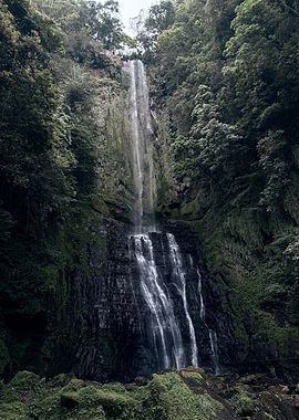 Waterfall in Forest