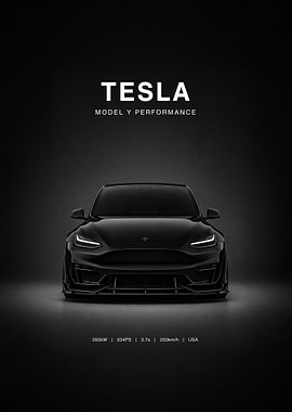 Tesla Model Y Performance