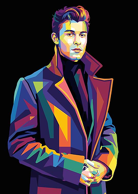 Shawn Mendes Pop Art