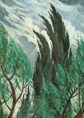 Stormy Weather with Cypress Trees