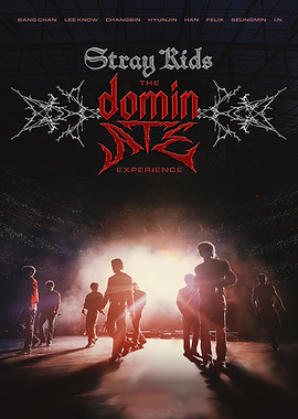 Stray Kids The DOMINATE EXPERIENCE Poster