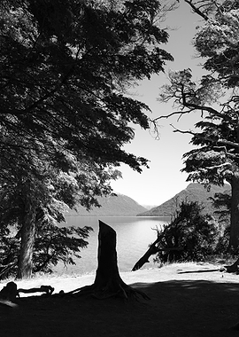 Forest clearing overlooking a lake and mountains
