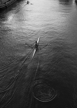 Rowers on a River