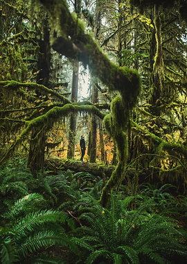 Person in moss-covered forest