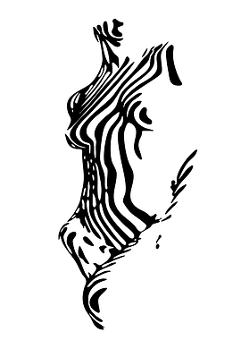 Abstract Zebra Print Figure