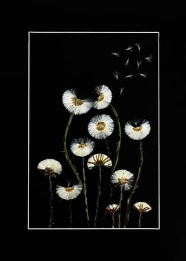 Dandelion Flower Composition on Black – Detailed Botanical Wall Art