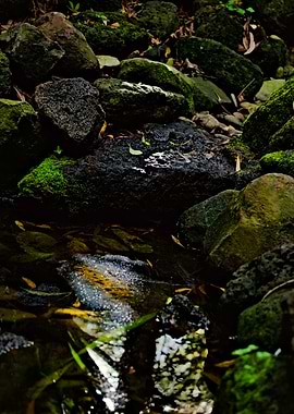 Mossy Rocks and Stream