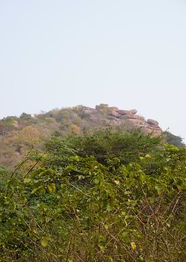 Rocky Hillside with Lush Greenery