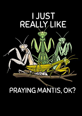 Praying Mantis Lover Kids Insects Boys Praying Mantis