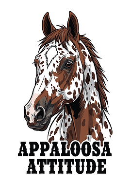 Appaloosa Horse Attitude