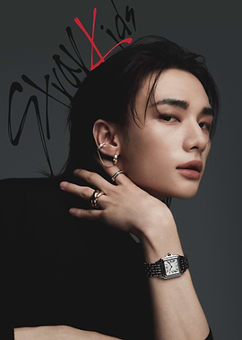 Stray Kids Hyunjin Fashion Portrait