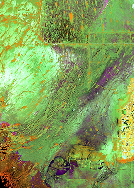 Florida Everglades (Water Bodies)