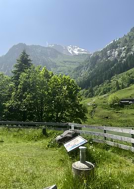 Mountain Landscape with Lake and Trees