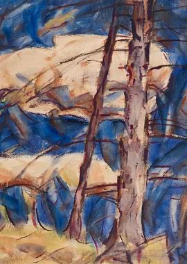 Bare Conifers