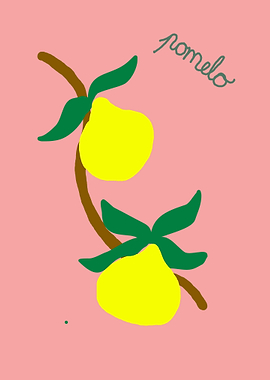 Pomelo Fruit on a Branch