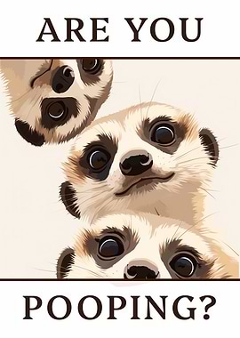 Funny Meerkats Asking 'Are You Pooping?'