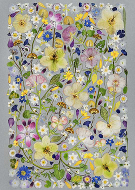 Collage of Pressed Flowers and Leaves