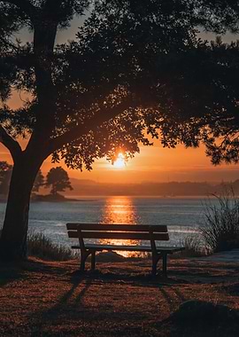 Serene Sunset Bench by the Water